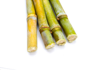 Sugar cane on white background.