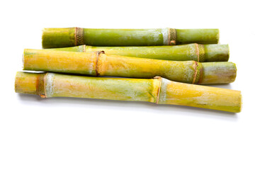 Sugar cane on white background.