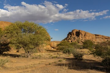 Naklejka premium scenic view rock formation elephants head in erongo region of namibia