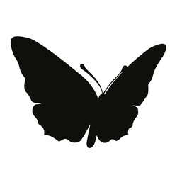 Butterfly silhouette. Butterfly silhouette illustration on transparent background.
