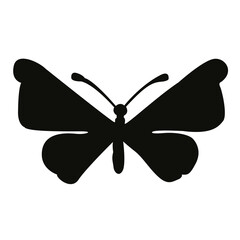 Butterfly silhouette. Butterfly silhouette illustration on transparent background.