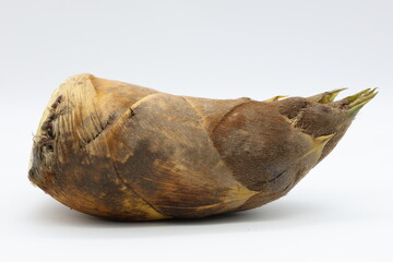 白背景で撮影したタケノコ