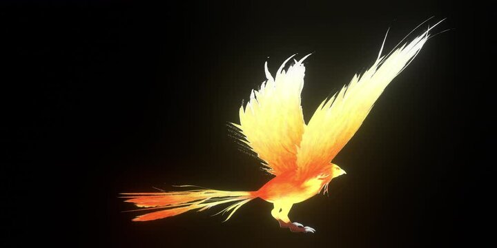 Animation, 360 turn phoenix bird, cyclically, transparent background