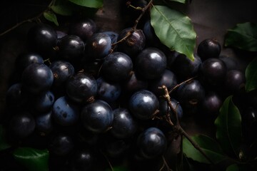 A bunch of jabuticaba