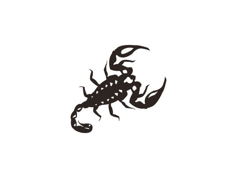 Scorpion illustration on isolated background