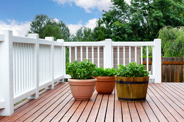 Pots of herbs on home outdoor cedar wood deck