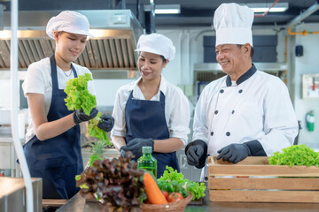 Male chef trains a group of female apprentices in a cooking class.
