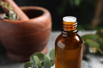 Bottle of eucalyptus essential oil and plant branches against blurred background, closeup. Space for text