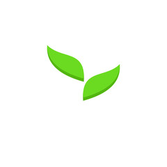 fresh green leaf design vector