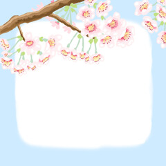 Stationery blue background with cherry blossoms
