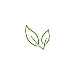 fresh green leaf design vector