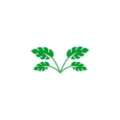 fresh green leaf design vector