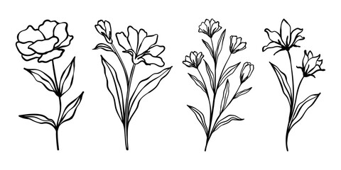 Set of branch and leaves collection. Floral hand drawn vintage set. Sketch line art illustration. Element design for greeting cards and invitations of the wedding, birthday