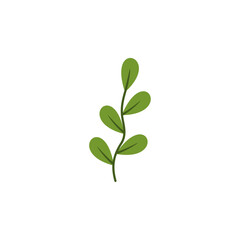 Fototapeta na wymiar fresh green leaf design vector