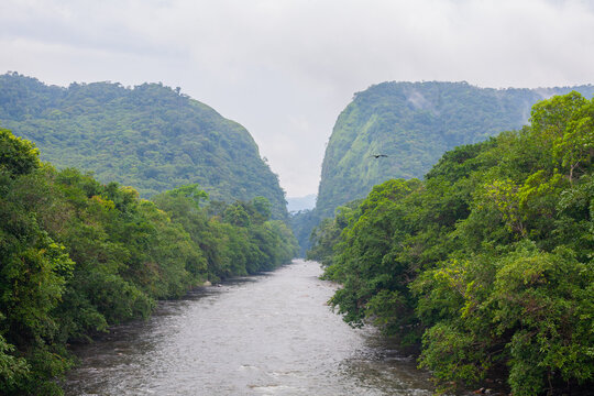 portales del fraguita caqueta colombia