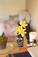 The daffodils are very beautiful in springtime.