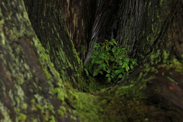 優しさに守られて