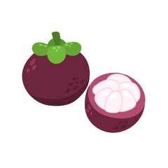 fresh mangosteen or manggis