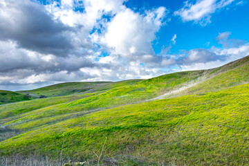 Green hills at Upper Las Virgenes Canyon Open Space Preserve