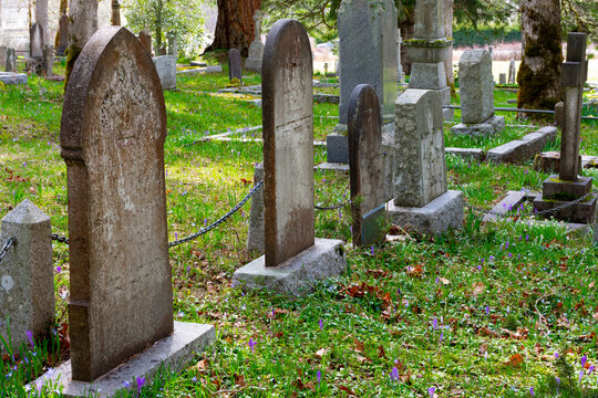 An image of several old weathered gravestone markers in a historic cemetery. 