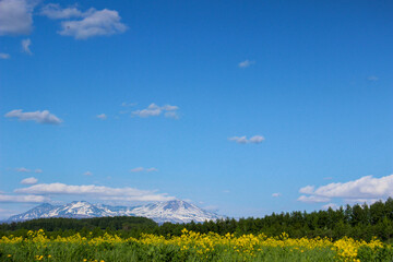 春の雪山と青空
