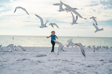 Happy amazed kid running, chasing birds. Kid boy chasing birds near summer sea beach. Happy child playing with seagull birds outside on summer day.