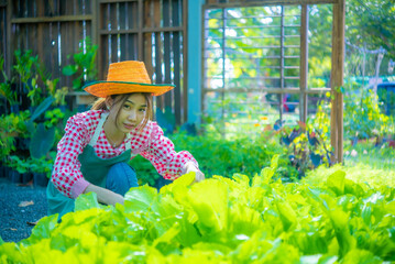 Beautiful asian farmer sitting cultivating agricultural produce organic vegetables with joy while looking at camera, Smart farm.