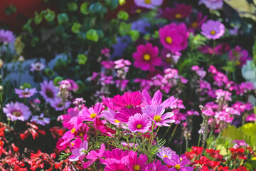 March 10 2023 Landscape design home garden, flower show hong kong