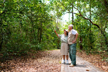 Happy Asian senior couple holding hands and walking together in tropical forest. Retired elderly...