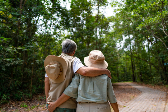 Happy Asian senior couple holding hands and walking together in tropical forest. Retired elderly people man and woman enjoy outdoor activity lifestyle travel nature hiking on summer holiday vacation.