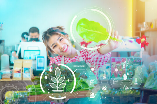 Beautiful asian farmer shows organic vegetables that have been processed by environmental technology to develop cultivation to have the most fertile and fresh quality.