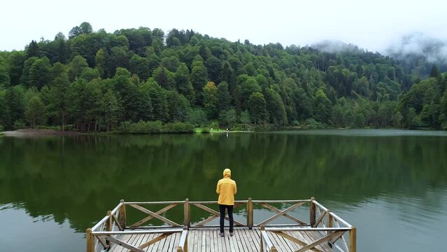 Aerial drone shot of a man looking at the landscape in Artvin Karagol.