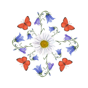 Watercolor illustration of campanula, daisy and butterflies isolated on transparent background. Perfect as template for different cards, patterns , invitation