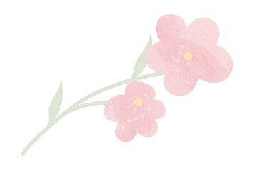 Watercolor wedding flower
