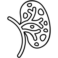 kidney icon, line icon style, renal urology symbol vector stock.
