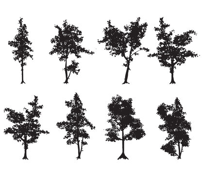 Set of Tree silhouettes