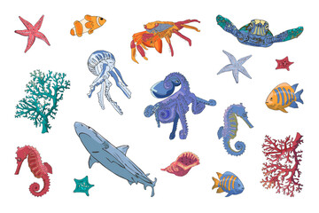 A set of marine life: fish, octopuses, crabs, seahorses, algae, sharks, jellyfish, turtles, shells, starfish.   Collection of isolated colorful vector illustrations, hand contour drawing.