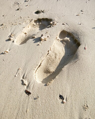 Footprint on the white sand on the beach.