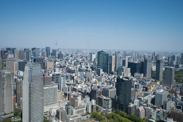Fototapeta premium Tokyo cityscape