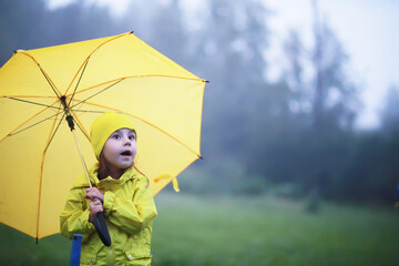 Cute toddler child, playing in the rain with umbrella on a foggy autumn day on a rural road
