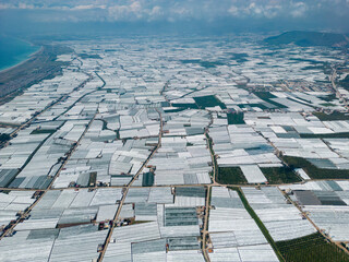 Antalya region greenhouse cultivation, greenhouse cultivation, production and rich agricultural...