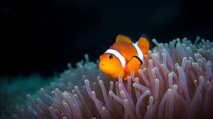 Fototapeta na wymiar Captivating Clownfish in Coral Garden