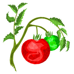 Tomatoes with leaf polygons healthy eating on a white background    vector illustration editable hand draw