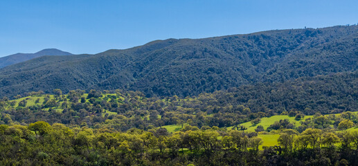 Beautiful countryside hilly landscape, green trees, mountain, and clear blue sky sunny day panorama