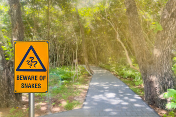 Yellow sign beware of snakes in a rainforests  walking area background.