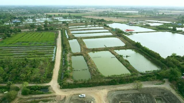 Aerial view of shrimp farmland countryside. power windmills flow oxygen into the pond. The landscape of aquaculture environmental agriculture farm.