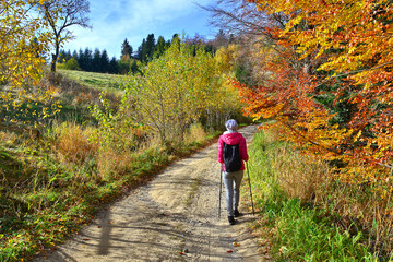 Obraz premium Autumn mountains landscape. Colorful foliage in the autumn forest. Backpacker woman walks along trail at the mountains forest in autumn sunny day.