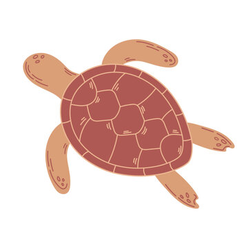 Hand drawn brown sea turtle isolated on white background. Vector Illustration for poster, fabric, print, textile, wrappert.