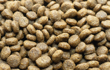 Fototapeta na wymiar Dry pet food texture background. Food for cats and dogs pattern. Pile of granulated animal feeds. Granules of good nutrition for dogs and cats. Macro shot