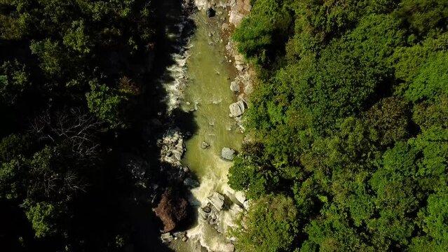 Top shot of a river in a tropical country